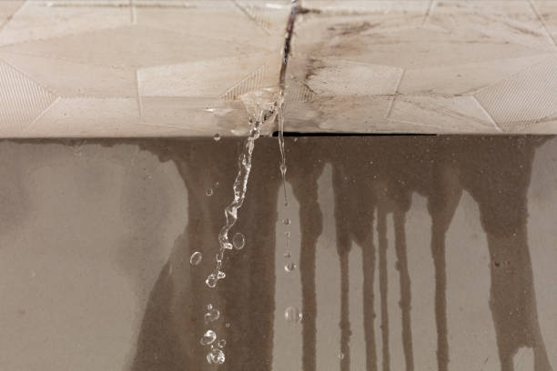 Professional Water Damage Inspection technician working in Fairview, TX